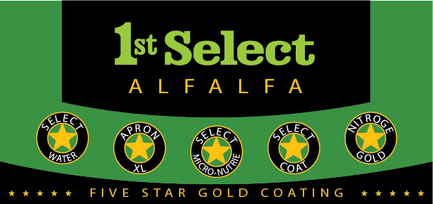 1st Select 1045 Alfalfa (Coated)