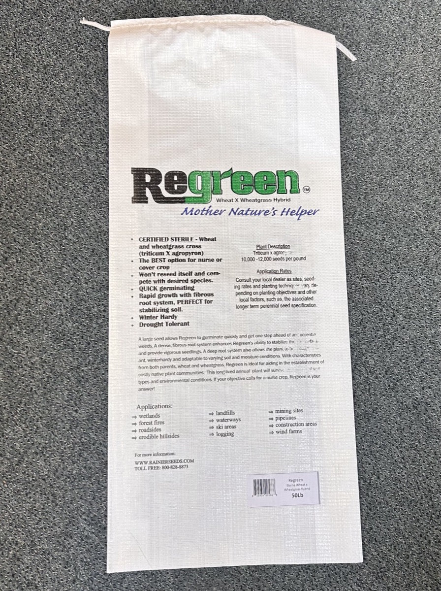 Regreen (Sterile Wheat x Wheatgrass Hybrid)