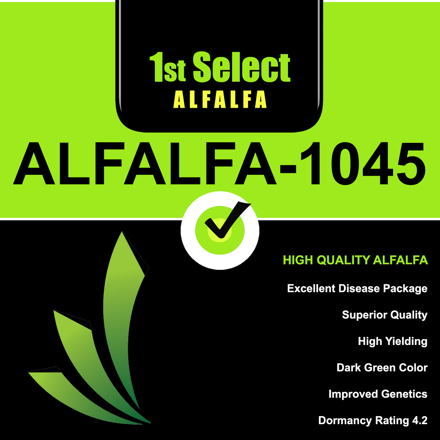 1st Select 1045 Alfalfa (Coated)