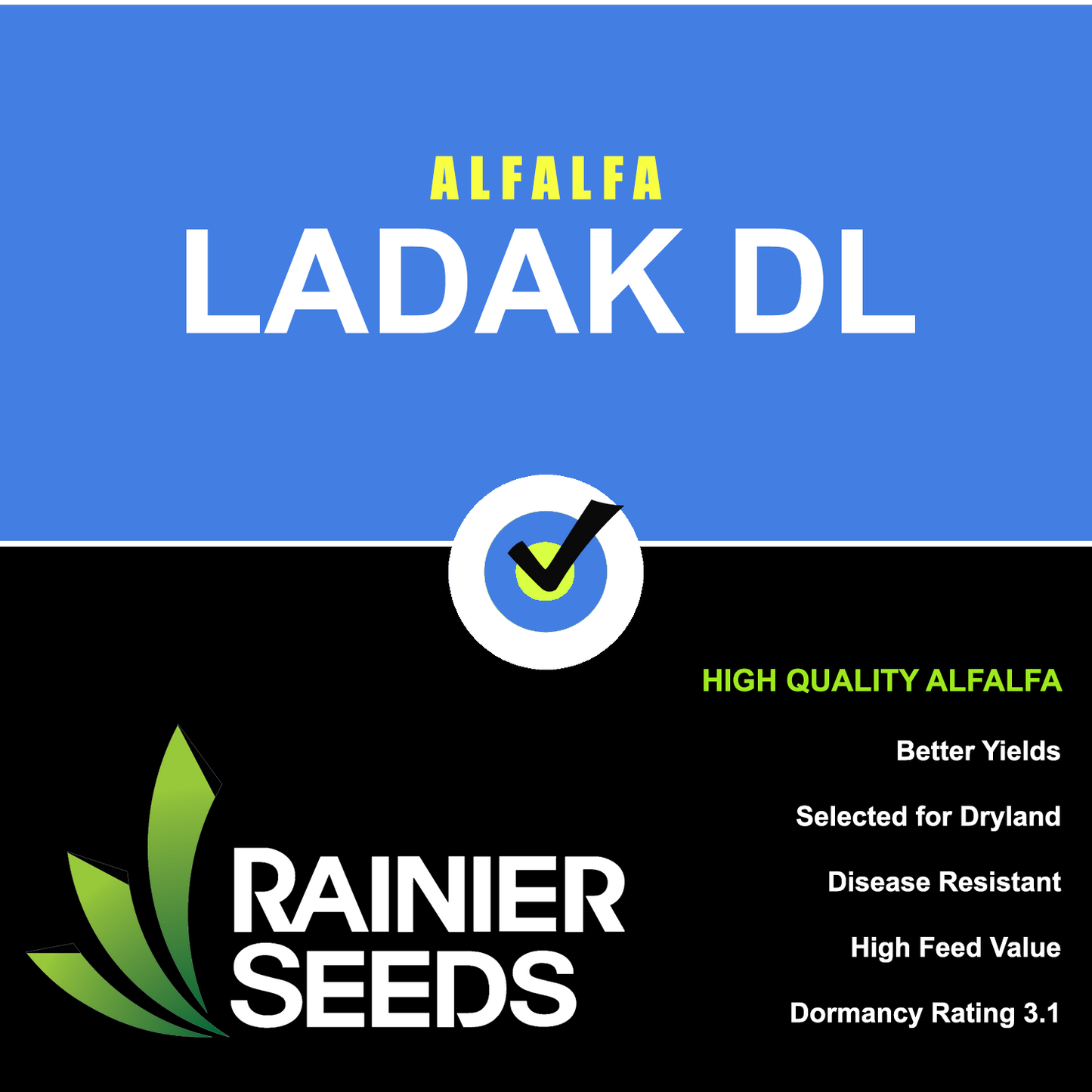 Ladak DL - Coated