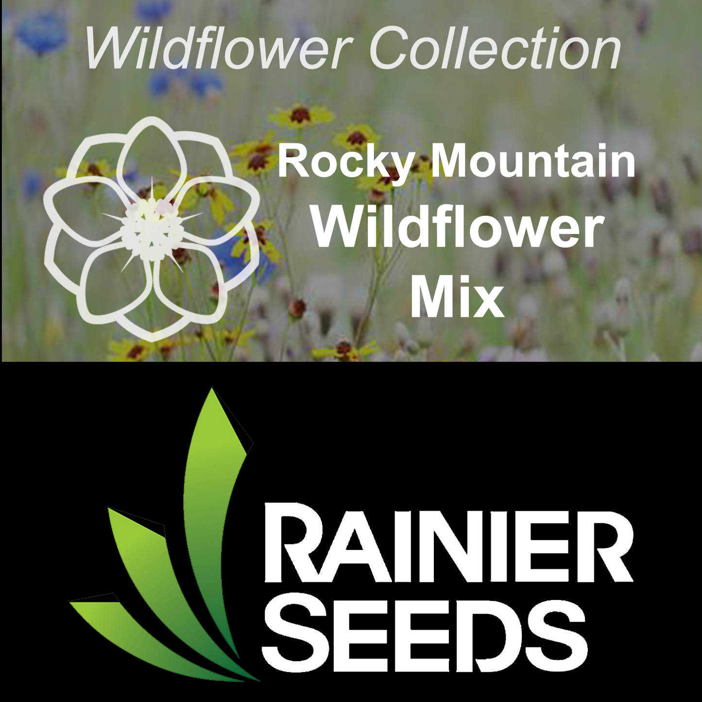 Rocky Mountain Wildflower Mix