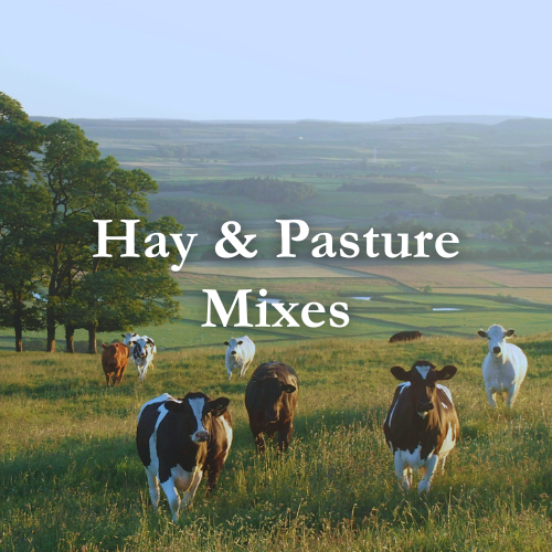 Shop Hay & Pasture