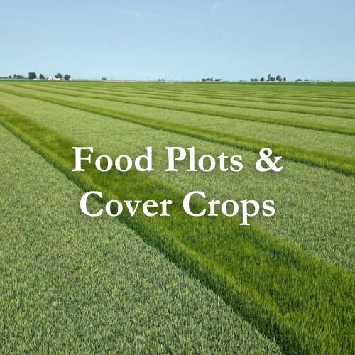 Shop Food Plots & Cover Crops