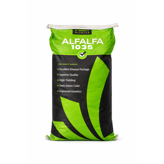 1st Select 1035 Alfalfa (Coated)