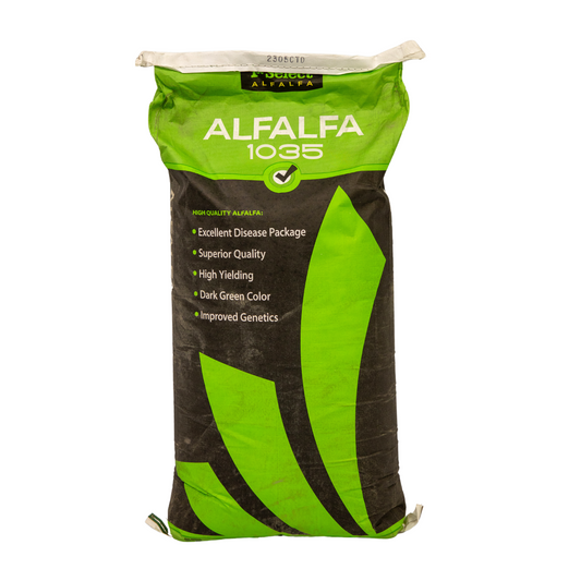 1st Select 1035 Alfalfa (Coated)
