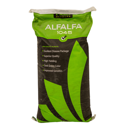 1st Select 1045 Alfalfa (Coated)
