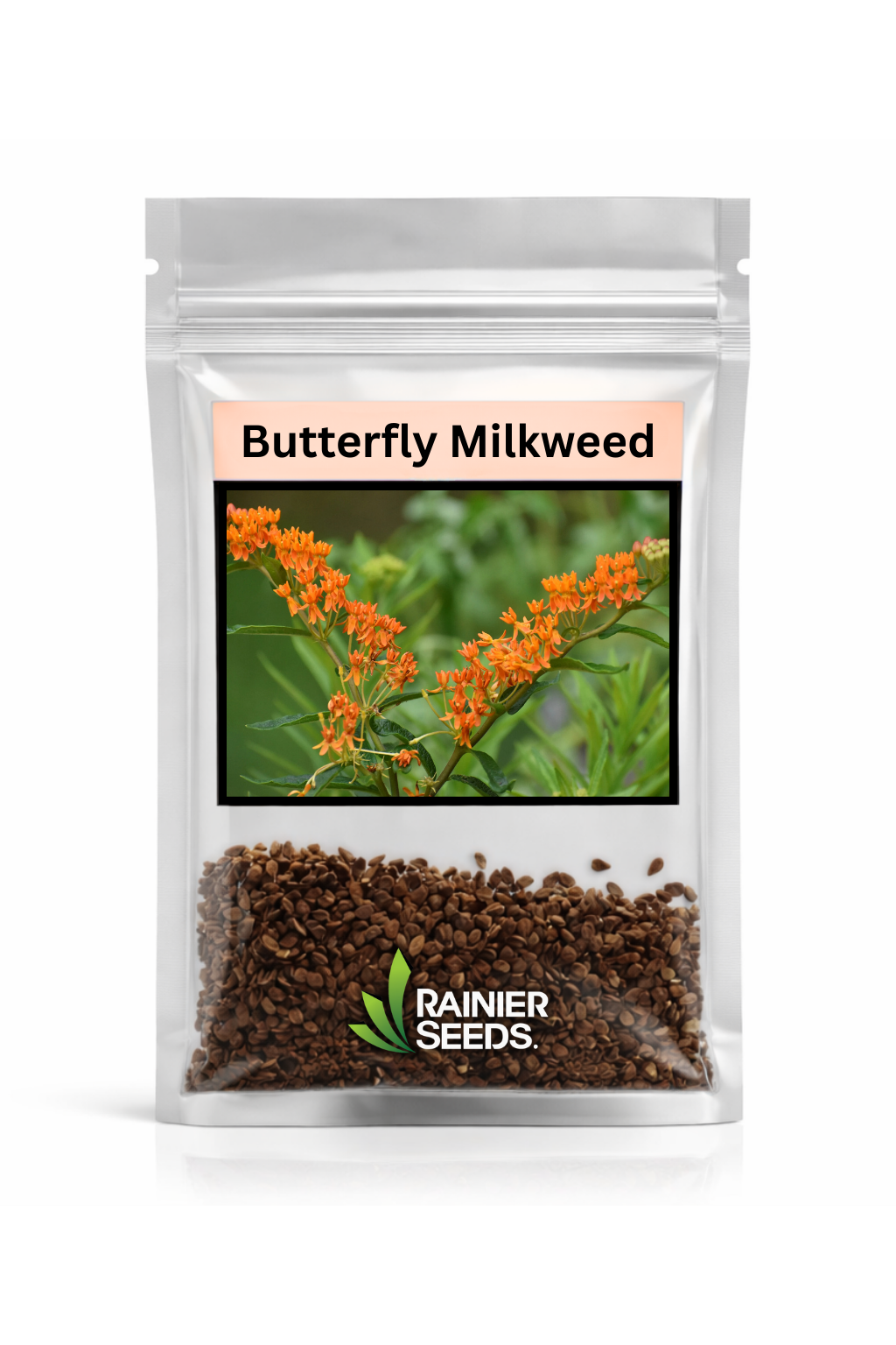 Butterfly Milkweed