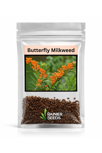 Butterfly Milkweed