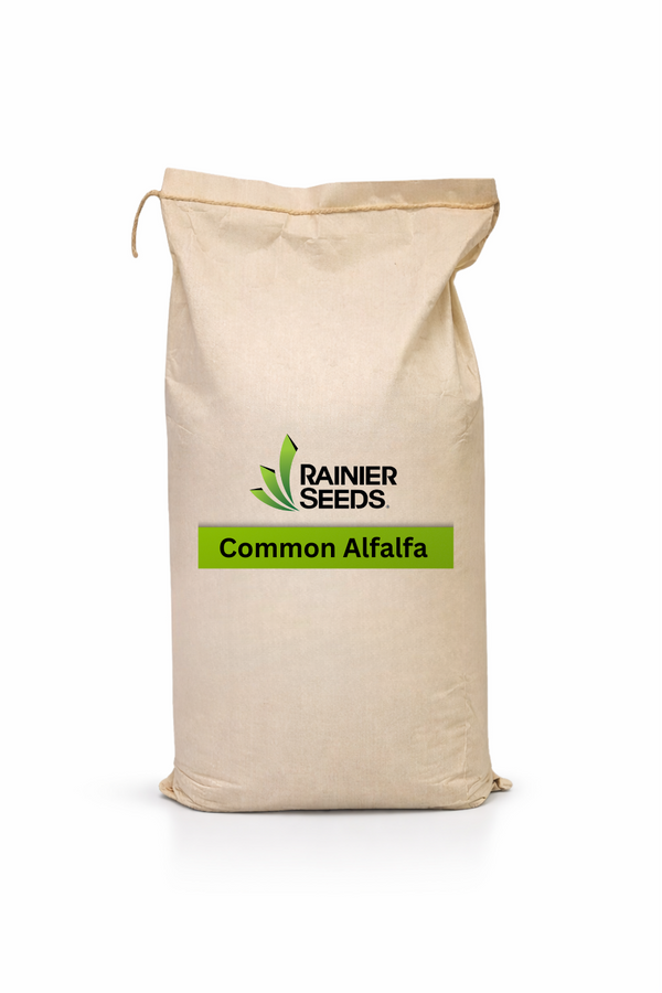 Common Alfalfa (Uncoated & Inoculated)