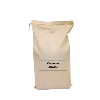 Common Alfalfa (Uncoated & Inoculated)