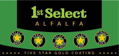 1st Select 1045 Alfalfa (Coated)