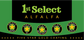 1st Select 1045 Alfalfa (Coated)