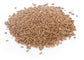 Regreen (Sterile Wheat x Wheatgrass Hybrid)
