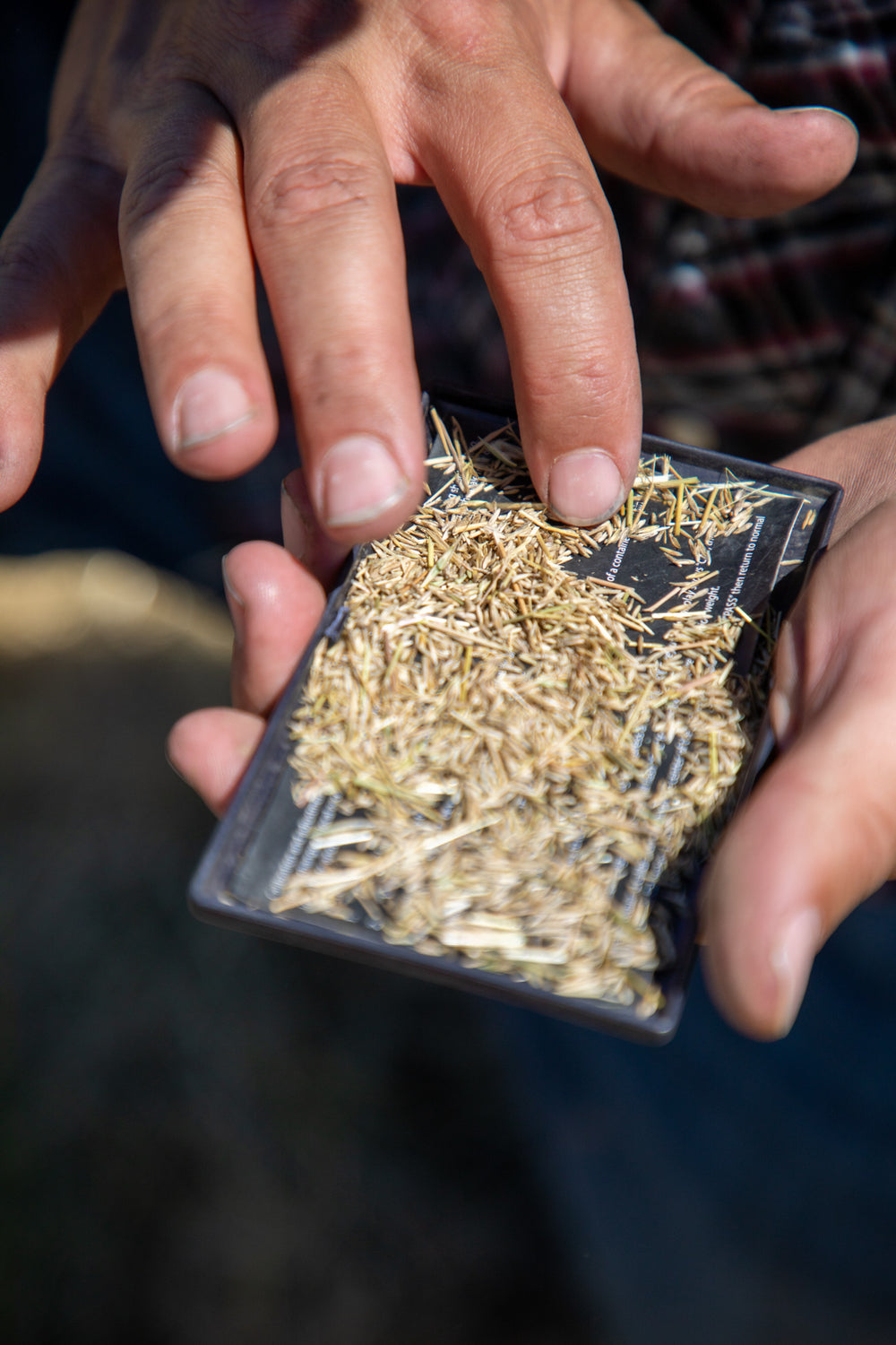 Custom CRP native grass seed mix sample