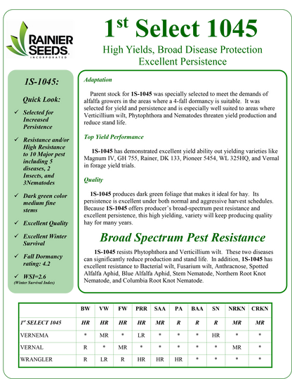 1st Select 1045 Alfalfa (Coated)