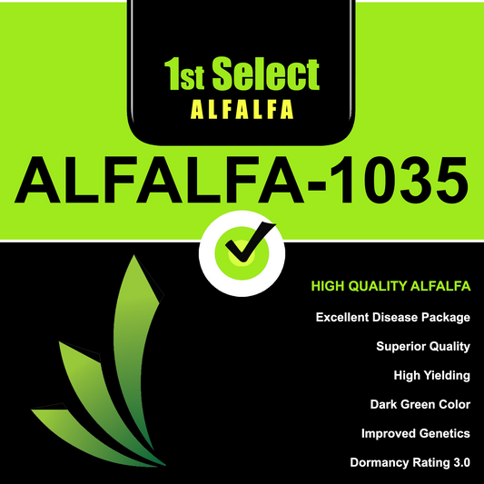 Alfalfa 1035