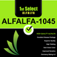 Alfalfa 1045