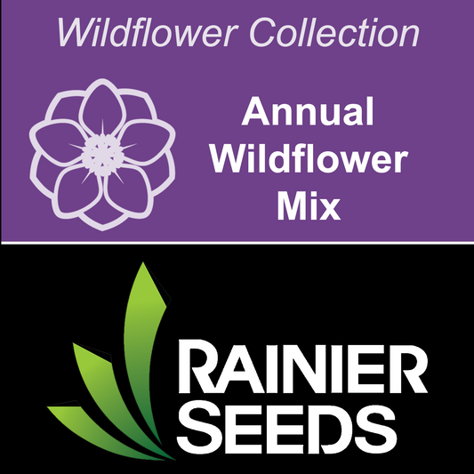 Annual Wildflower Mix
