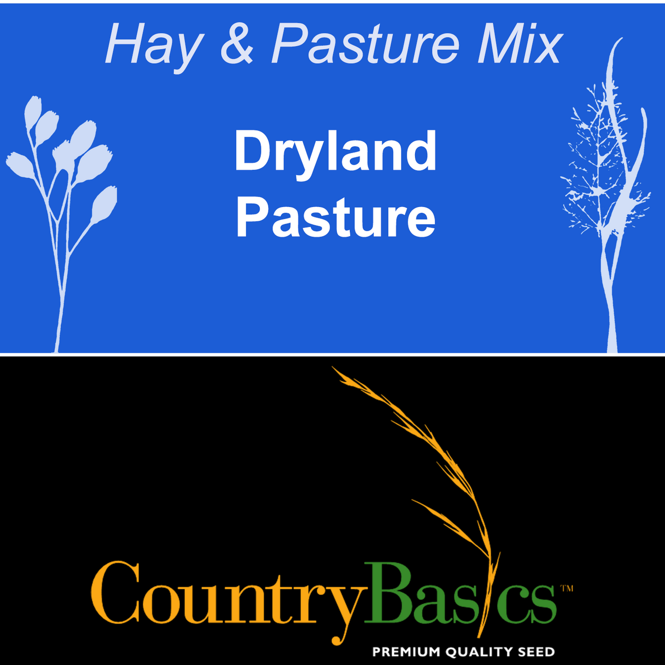 Dryland Pasture Grass Seed For Sale Near Me Rainier Seeds