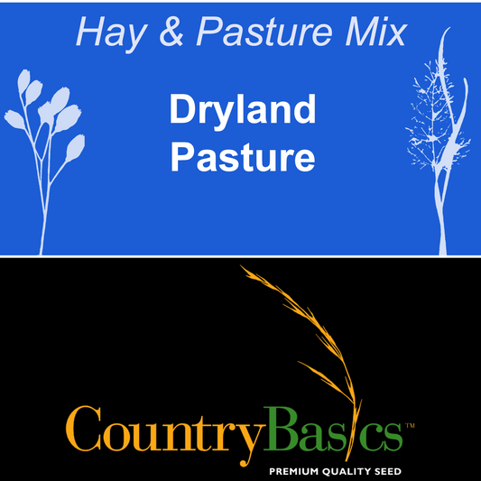 Dryland Pasture