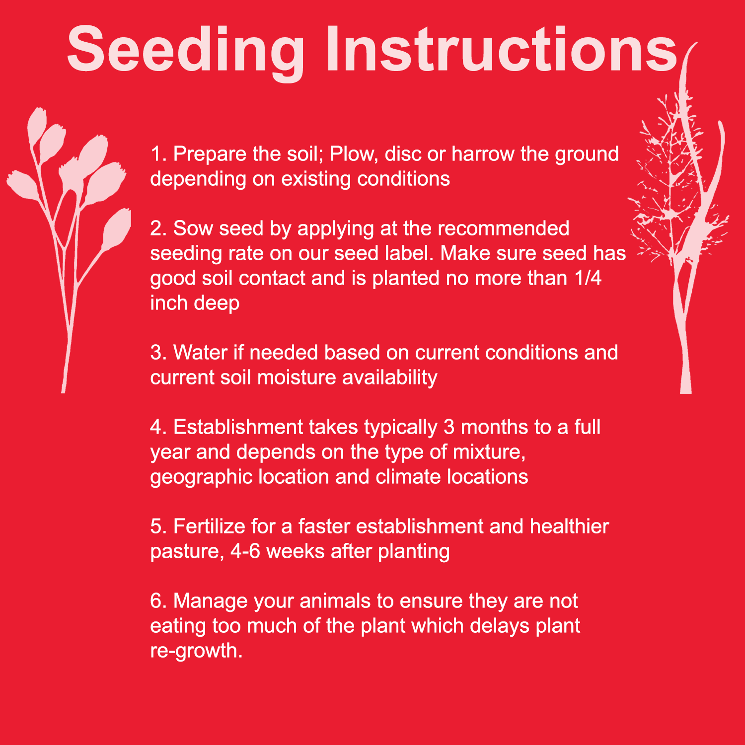 dream planting seeds Hunter's Dream Grass Seed
