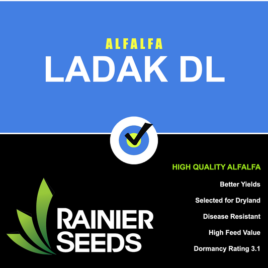 Ladak DL - Inoculated