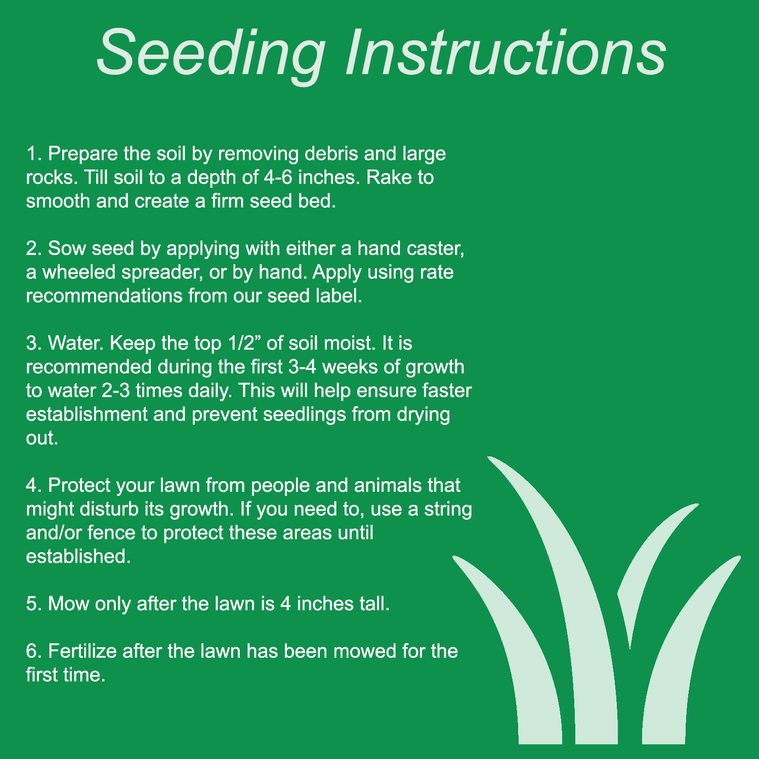 directions for planting grass seed DrySite & SandySoil Grass Seed For Sale Near Me