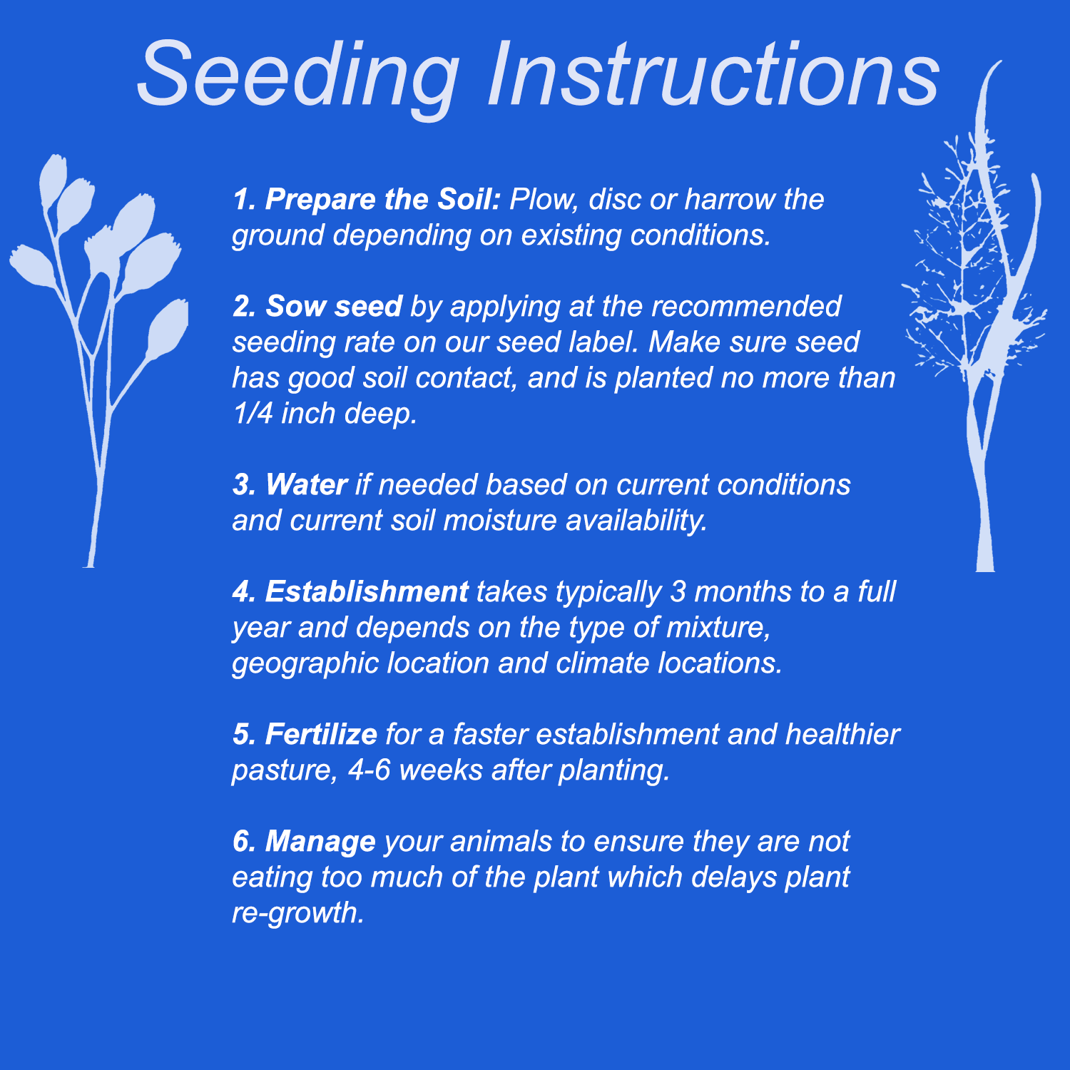 directions for planting grass seed Irrigated Hay & Pasture Grass Seed For Sale Near Me – Rainier Seeds