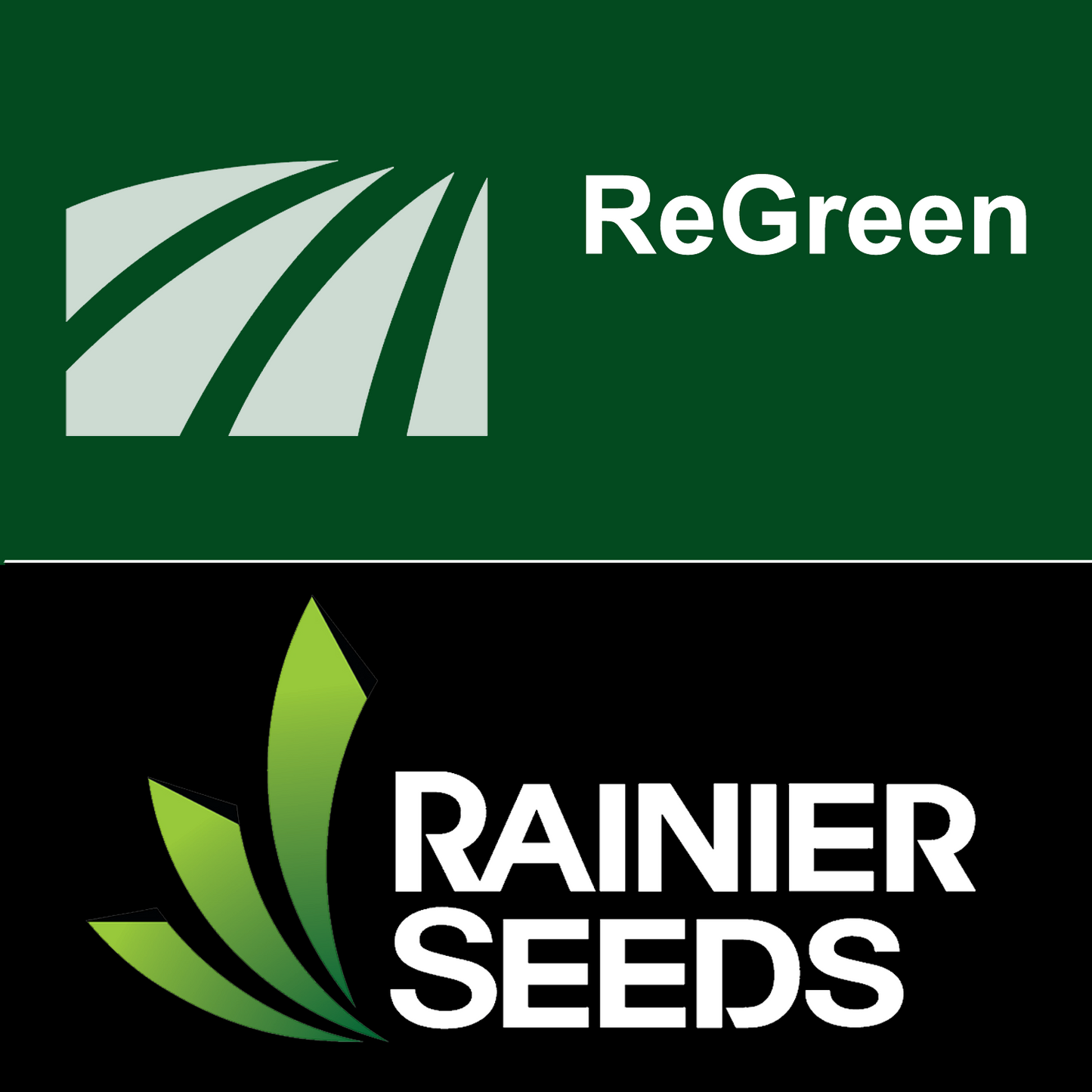 Regreen (Sterile Wheat x Wheatgrass Hybrid)