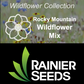Rocky Mountain Wildflower Mix